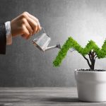 50% Decrease in Startup Investments