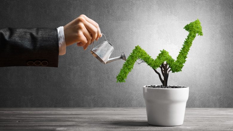 50% Decrease in Startup Investments