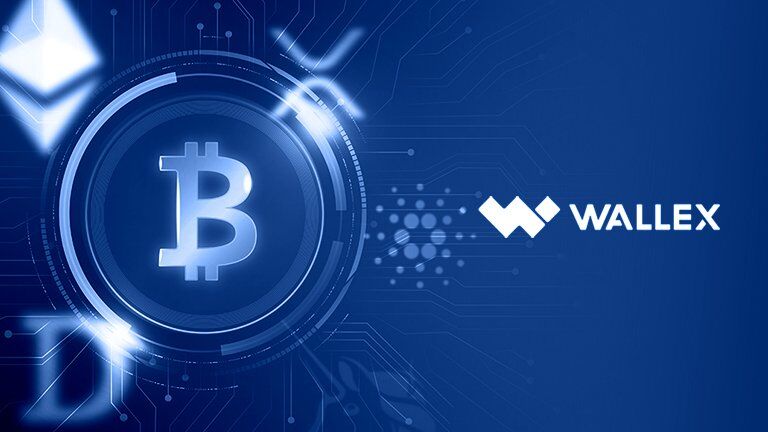 Wallex Exchange