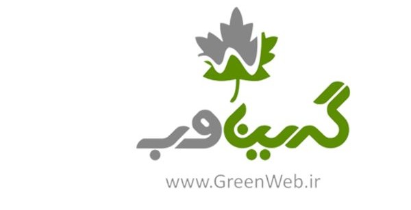 Greenweb became the model exporter of 2024